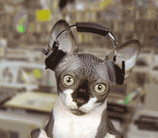 搞笑活跃音乐,一起摇摆的欢乐音乐盛宴