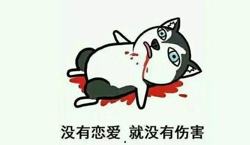 这波狗粮表情包,狗粮满满！这波表情包让你笑出腹肌