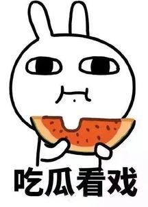 胖东来娱乐吃瓜酱,揭秘娱乐圈幕后故事